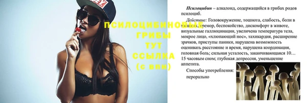 ECSTASY Липки
