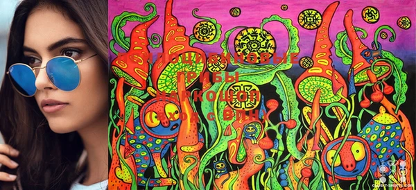 ECSTASY Липки