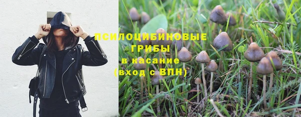 ECSTASY Липки