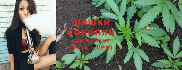 ECSTASY Липки