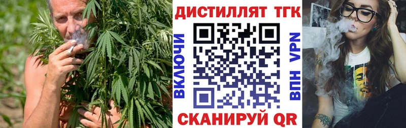 Купить  Нововоронеж  ТГК концентрат 